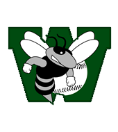 Williamston Stings Baseball Club